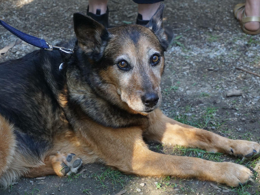 it's MISTER Mac to you!