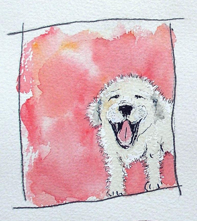 Who's a happy chappy then?