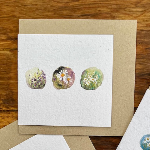 CARD Seeded Floral Collection - Daisy Three