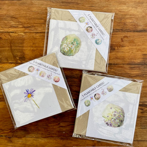 A Card Collection SEEDED FLORAL - 5-Pack
