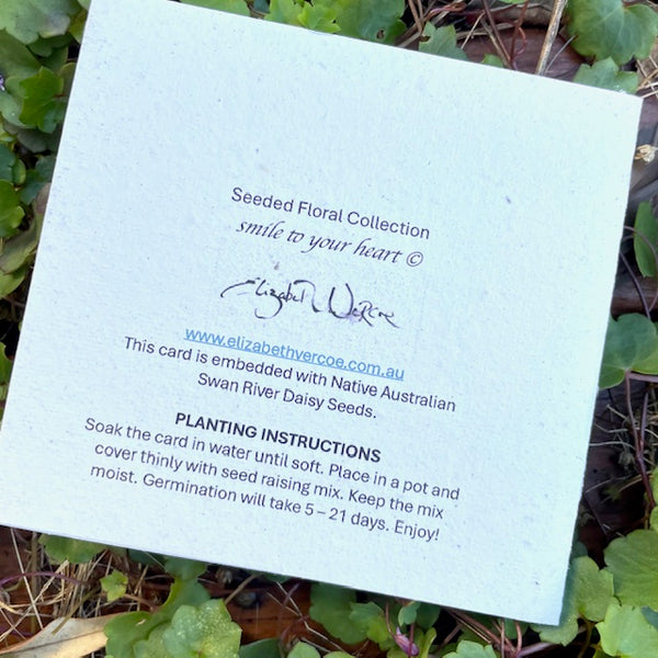 A Card Collection SEEDED FLORAL - 3-pack