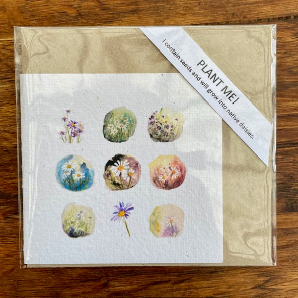 CARD Seeded Floral Collection - Wild Daisy Fragments