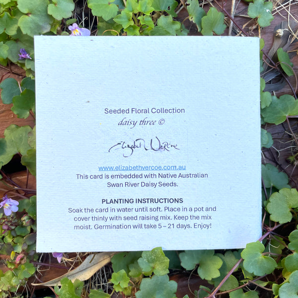 CARD Seeded Floral Collection - Daisy Three