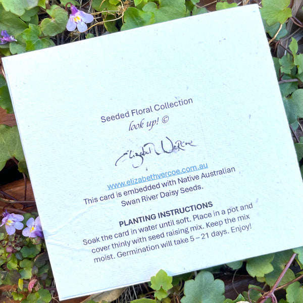 CARD Seeded Floral Collection - Look Up!