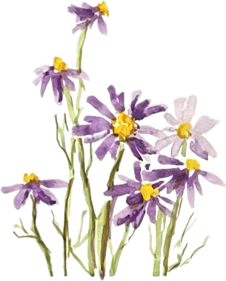 CARD Seeded Floral Collection - Look Up!