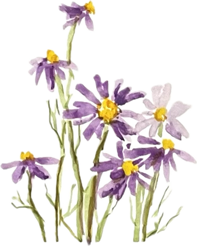 CARD Seeded Floral Collection - Look Up!
