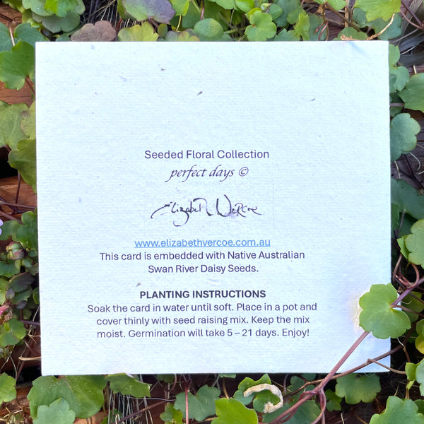 CARD Seeded Floral Collection - Perfect Days