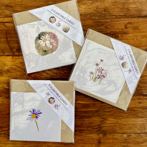 A Card Collection SEEDED FLORAL - 3-pack