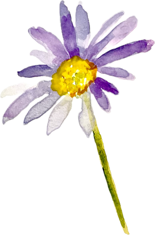 CARD Seeded Floral Collection - Simple is Perfect