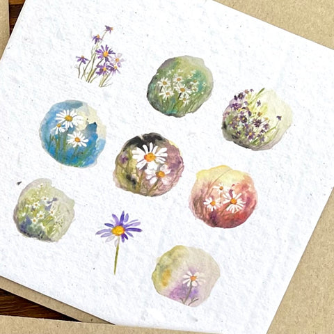 CARD Seeded Floral Collection - Wild Daisy Fragments