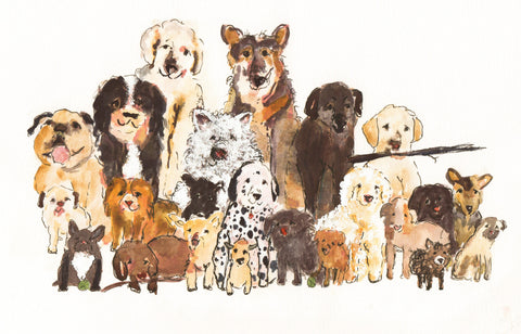 Print - HOW many dogs are on Mac's list?