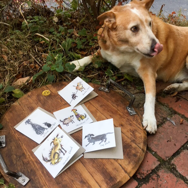 A Card Collection Coffee Dogs POT LUCK!