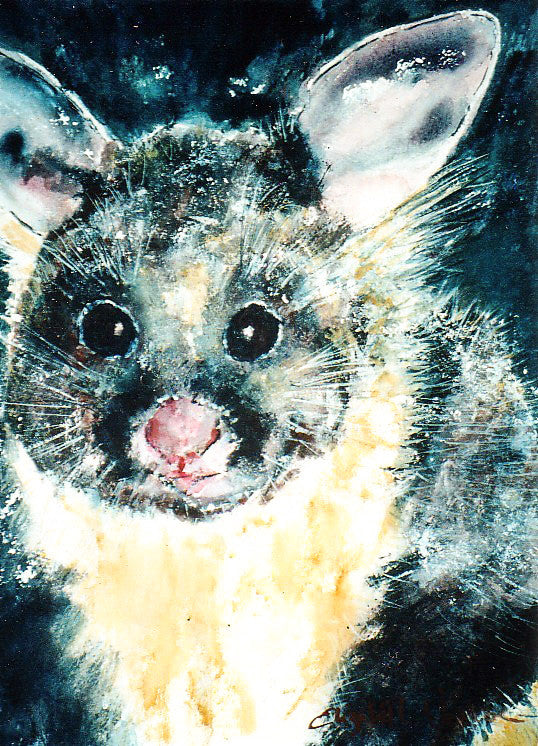 Print - Yellow Bellied Glider