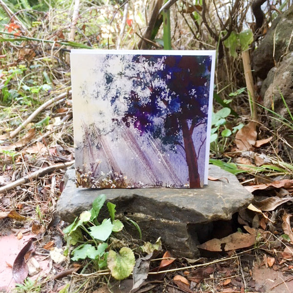 A Card Collection Australian Landscapes