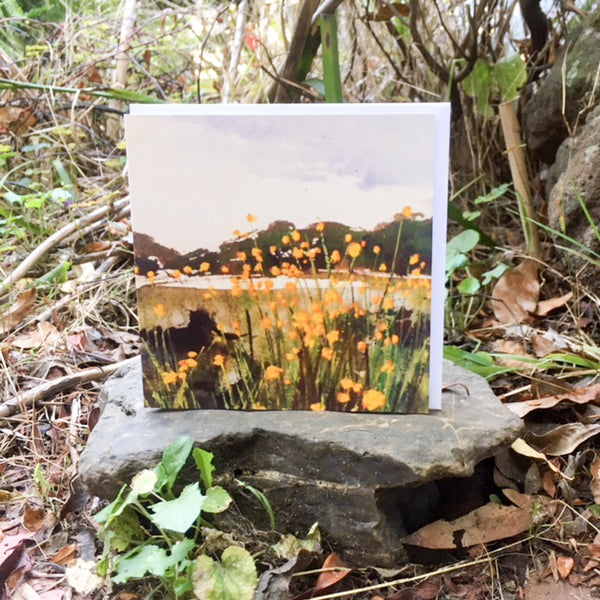 A Card Collection Australian Landscapes
