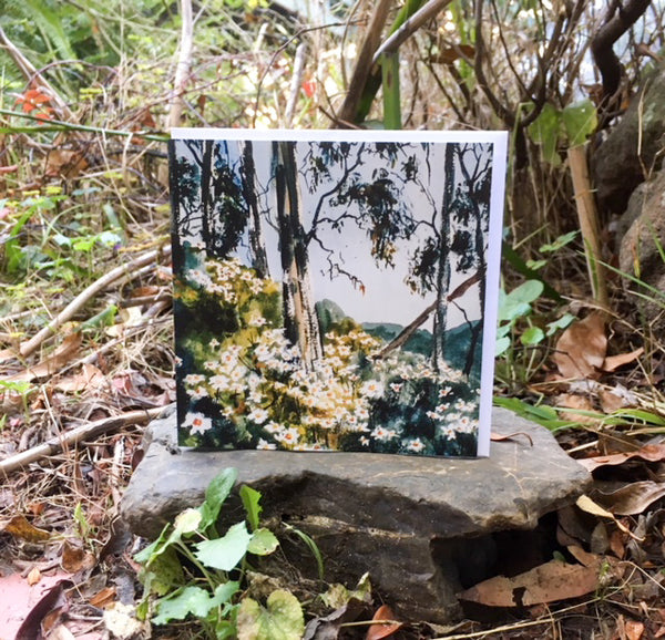 A Card Collection Australian Landscapes