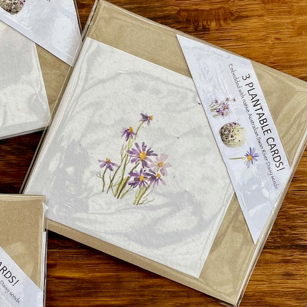 A Card Collection SEEDED FLORAL - 3-pack