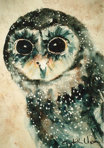 Print - Sooty Owl