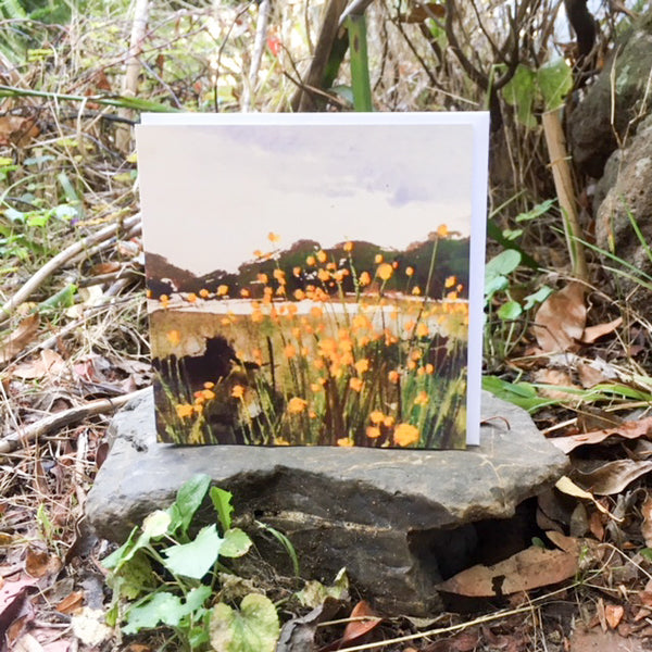 Card (Australian landscape collection) - Summer Wildflowers